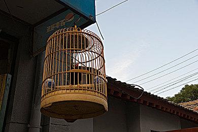 《EXFIL》12月12日Steam抢先体验 物理系战场FPS